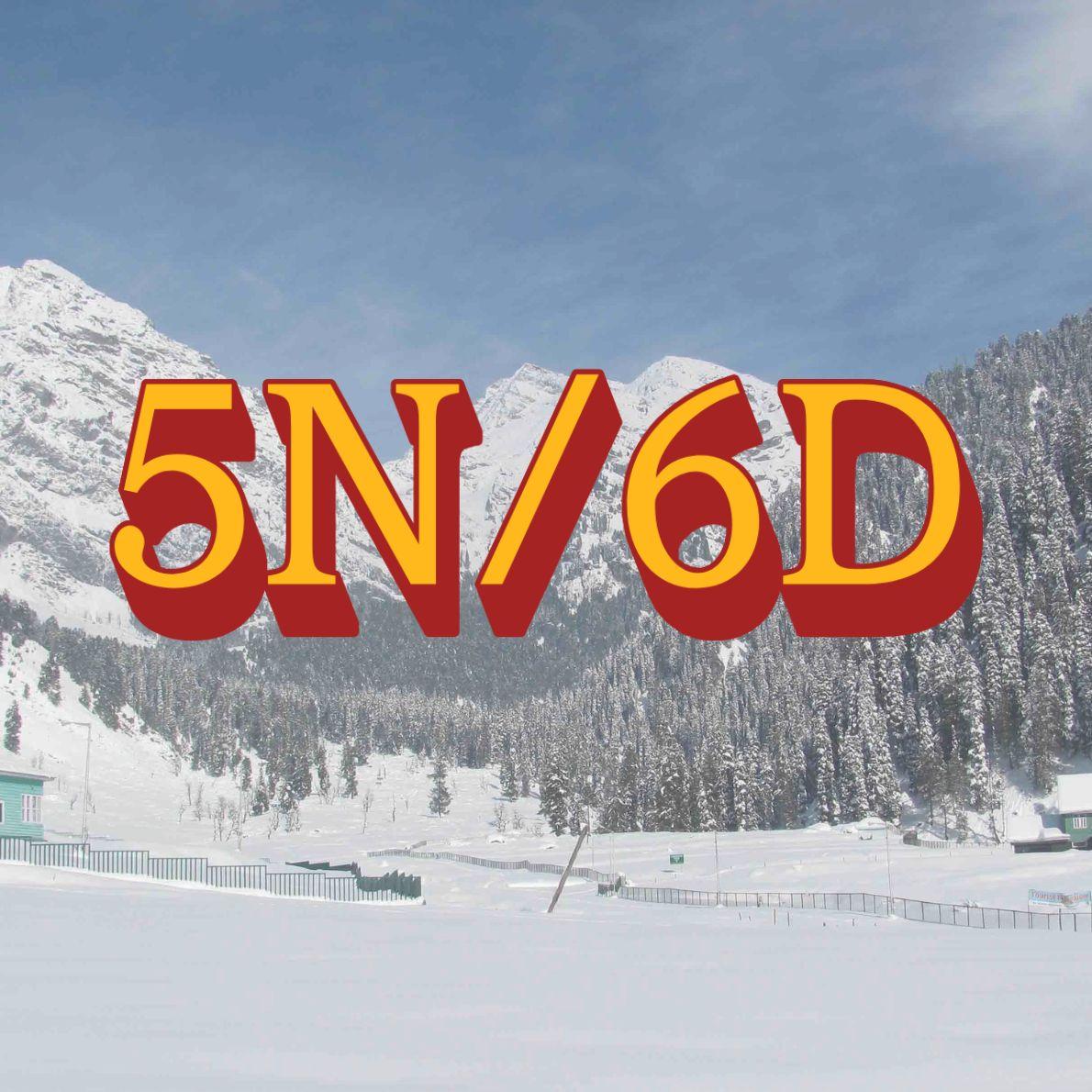 5N/6D Package