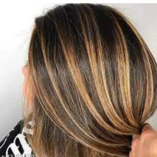 Women Balayage Globle  Highlights  ( Mid Black Lenth) In Just Rs 2499/-