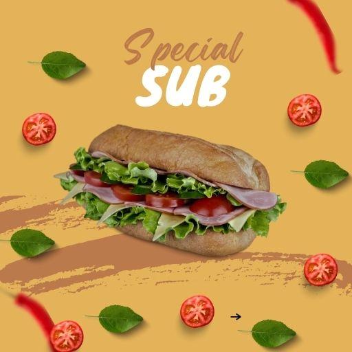 Buy 1 Veg Premium Sub At 149/-